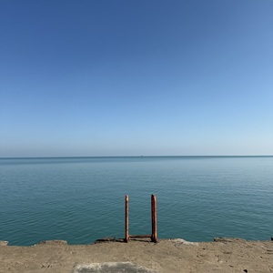 Fundraising Page: Sara Lurie